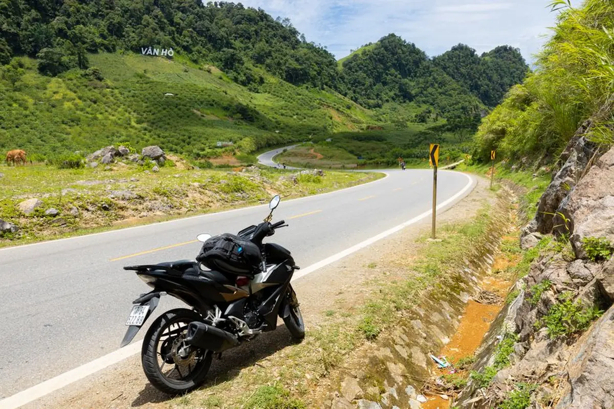 Une moto sur une route de montagne bordée de verdure.